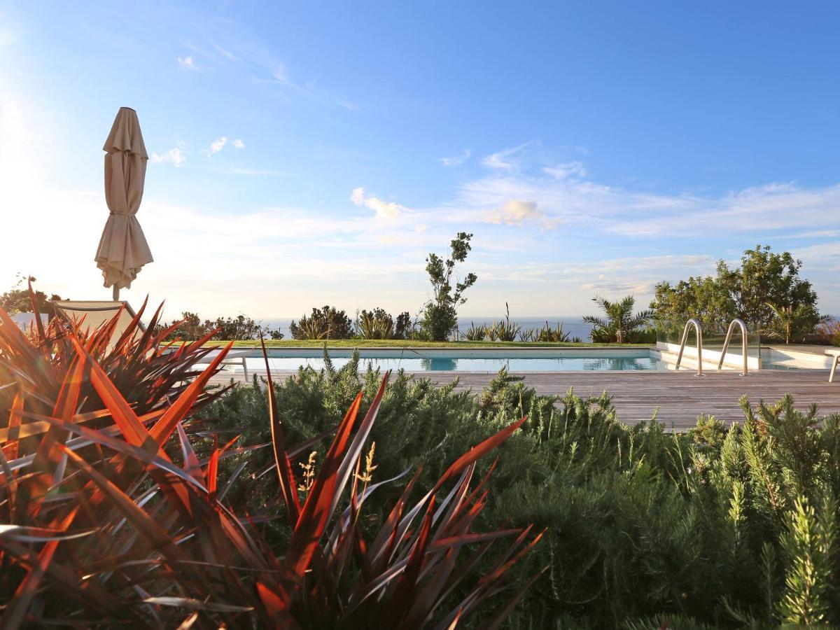 Antiga Fabrica De Cha Guest House Nordestinho Екстериор снимка